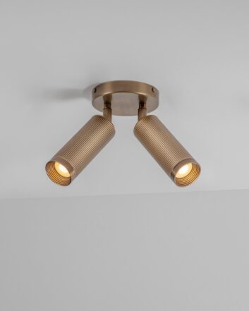Spot Double Ceiling Light