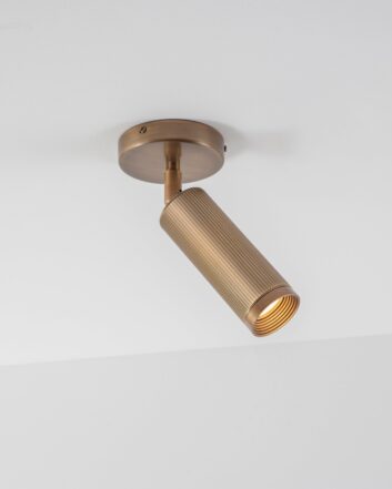 Spot Single Ceiling Light