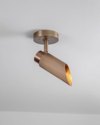 Spot Pro Ceiling Light